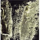 Atemporali topografie n. 3, 2010